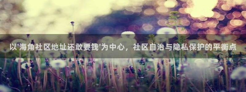 素海角社区：以\'海角社区地址还敢要钱\'为中心，社区自治与隐私保护的平衡点