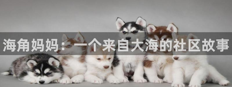 哪个百度可以看海角社区:海角妈妈:一个来自大海的社区故事