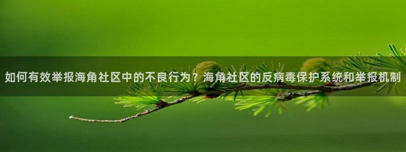 hj34a海角社区：如何有效举报海角社区中的不良行为？海角社区的反病毒保护系统和举报机制