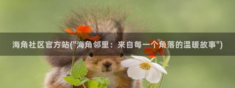 海角社区的钻石