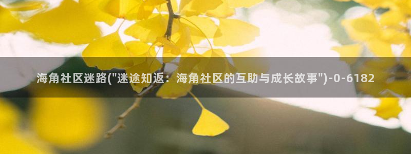 海角社区安卓APP：海角社区迷路(\