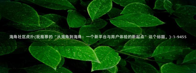 海角社区10212：海角社区虎扑(我推荐的“从海角到海角：一个新平台与用户体验的新起点”这个标题。)