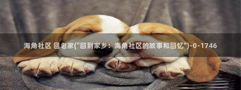 海角虚拟社区怎么进