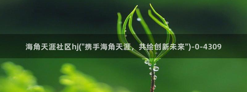 海角社区论坛官网入口