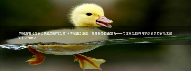 第一动漫