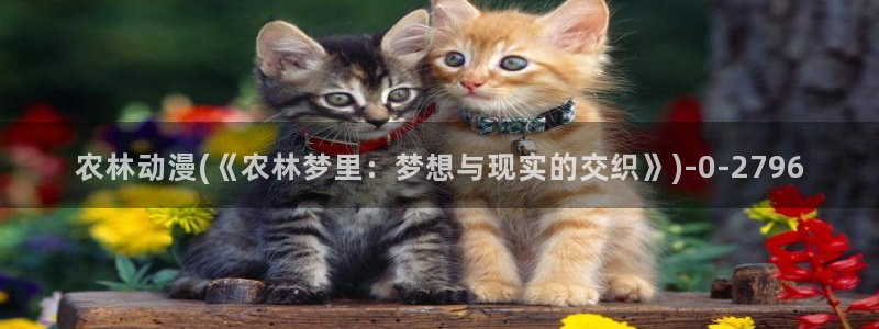 动漫女神
