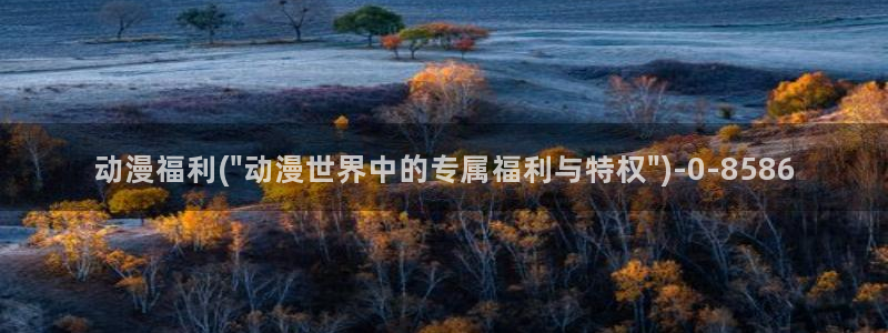 精灵之森动漫