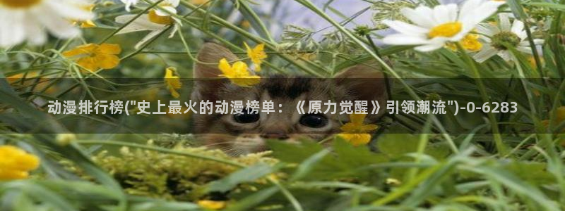 第一动漫