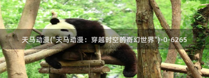 女装正太动漫